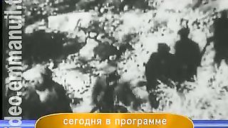 Дом Живых Историй 431