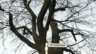 Дом Живых Историй 435