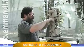 Дом Живых Историй 443