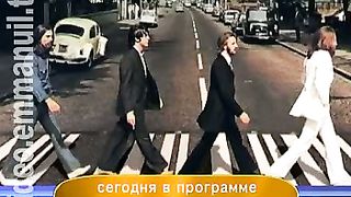 Дом Живых Историй 445