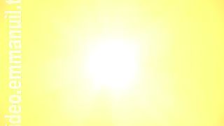 Дом Живых Историй 461