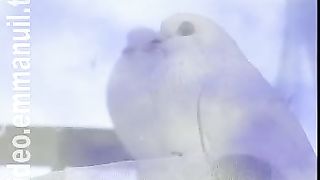 Дом Живых Историй 464