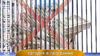 Дом Живых Историй 511