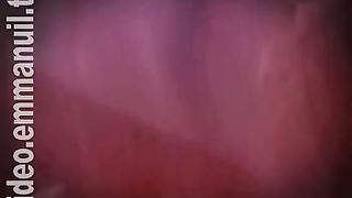 Дом Живых Историй 514