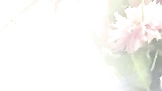 Дом Живых Историй 516