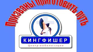 миссия Кингфишер