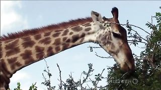 Полетим ли мы на Марс (2011)