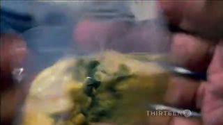 Полетим ли мы на Марс (2011)