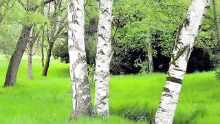 Василий Савич - Почитай отца и мать 2