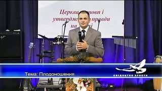 Луй Юра - Плодоношення