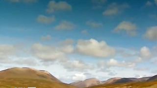 Природа Командорских островов (2011)