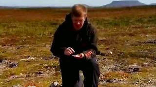 Природа Командорских островов (2011)