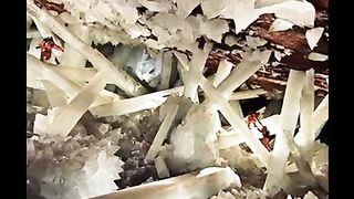 Удивительные природные явления 3