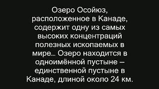 Удивительные природные явления 4
