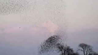 Удивительные природные явления 6