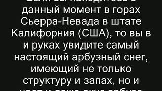 Удивительные природные явления 9