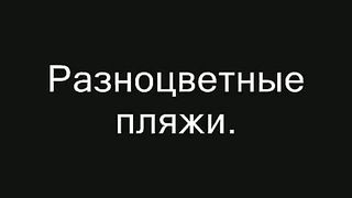 Удивительные природные явления 11