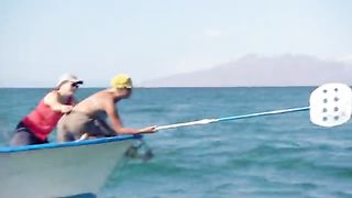 BBC Океаны (2008) 1 -  Море Кортеса