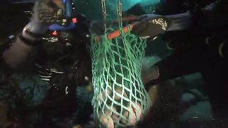 BBC Океаны (2008) 5 - Южный океан