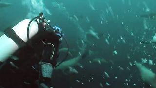 BBC Океаны (2008) 5 - Южный океан