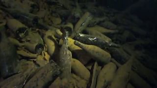 BBC Океаны (2008) 3 - Красное море