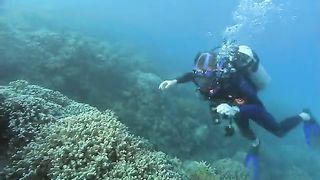 BBC Океаны (2008) 5 - Индийский океан