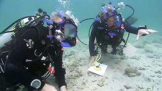 BBC Океаны (2008) 6 - Прибрежные воды индийского океана