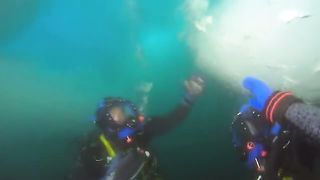 BBC Океаны (2008) 8 - Северный Ледовитый океан