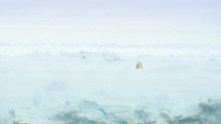 BBC Океаны (2008) 8 - Северный Ледовитый океан