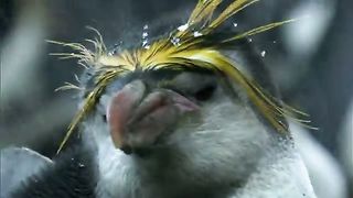 BBC Тайны Тихого океана - Океан островов