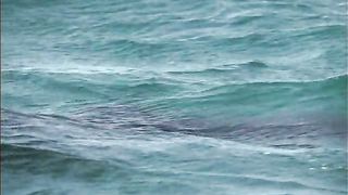 BBC Тайны Тихого океана - Океан островов