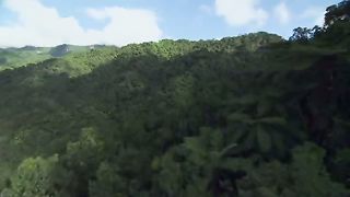 BBC Тайны Тихого океана - Переселенцы