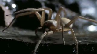 BBC Тайны Тихого океана - Океан вулканов