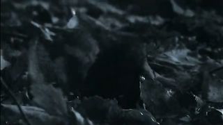 BBC Тайны Тихого океана - Странные острова