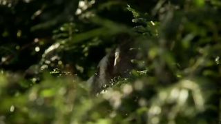 BBC Тайны Тихого океана - Странные острова