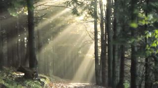 Патріарх Ілля - Як шукати і виконувати Божу волю 2