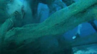 BBC Планета людей - Океаны Эпизод о морях и океанах