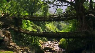 BBC Планета людей - Города