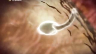 Жизнь До Рождения 1 - Близнецы