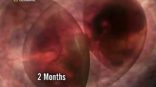 Жизнь До Рождения 1 - Близнецы