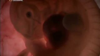 Жизнь До Рождения 2 - Животные