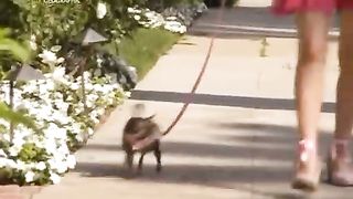 Жизнь До Рождения 5 - Собаки