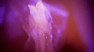 Жизнь До Рождения 6 - Человек