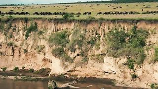 Национальный парк Серенгети 2011