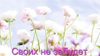 Уж солнце укрылось Караоке