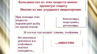 Эстер 04 В паутине привычек