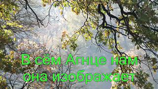 Смотрите Агнец Божий без боязни Караоке