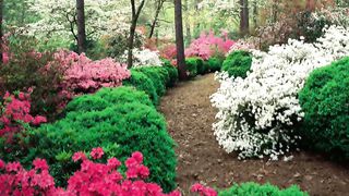 Ілля Патріарх - Боротьба з гріхом 2