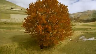 Падре Пио (2000) 1