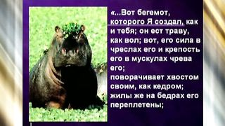 Эстер 07 Белок и его влияние на здоровье